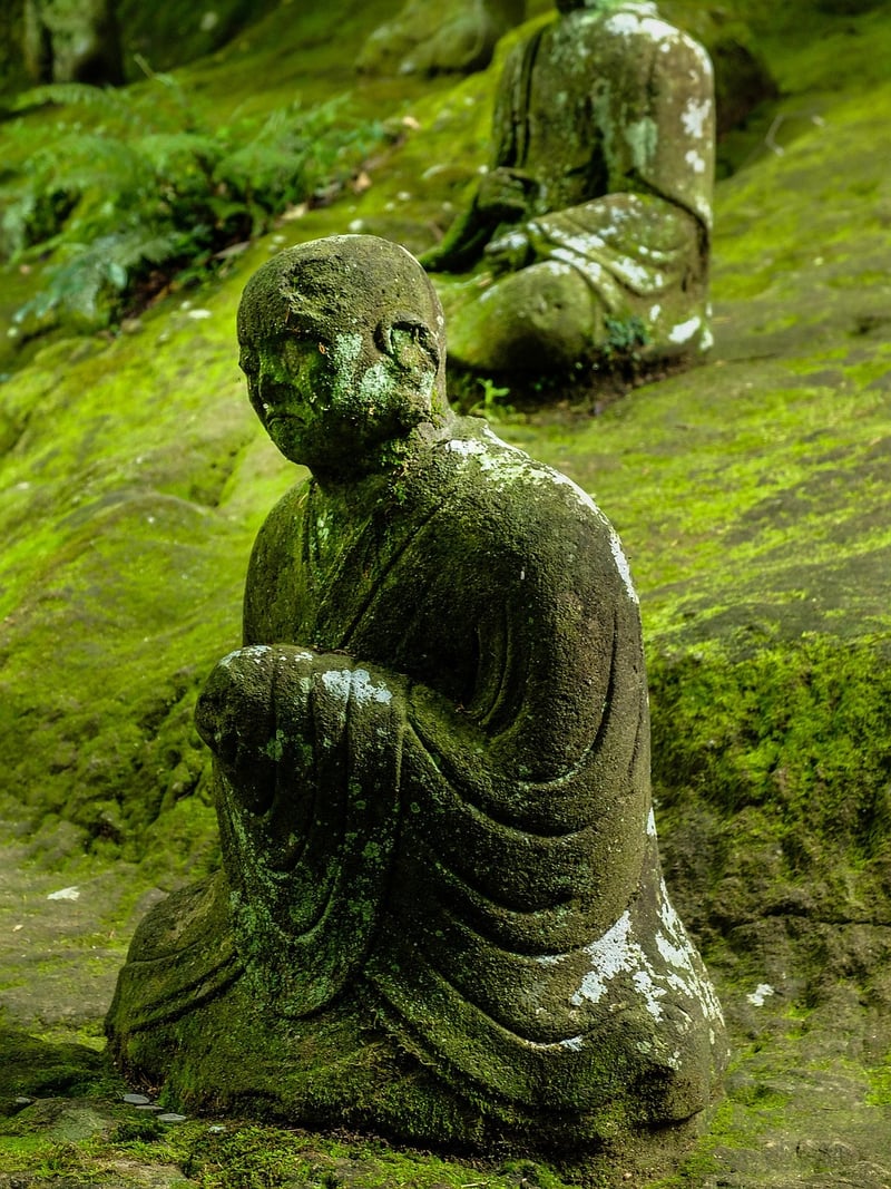 Meditation and Yoga